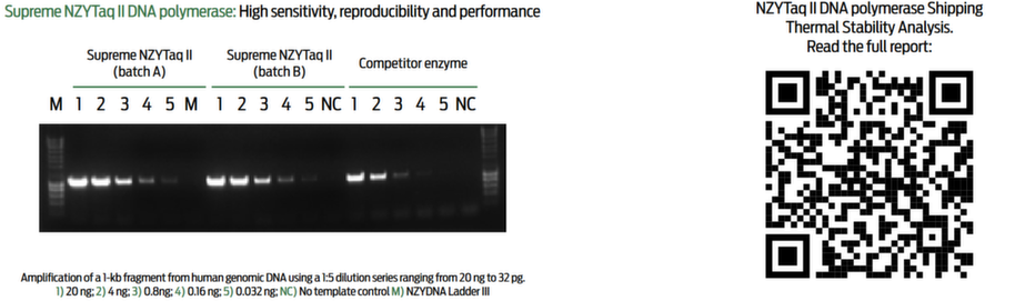 C2024_NZYTech_SI_Supreme DNA poly.png